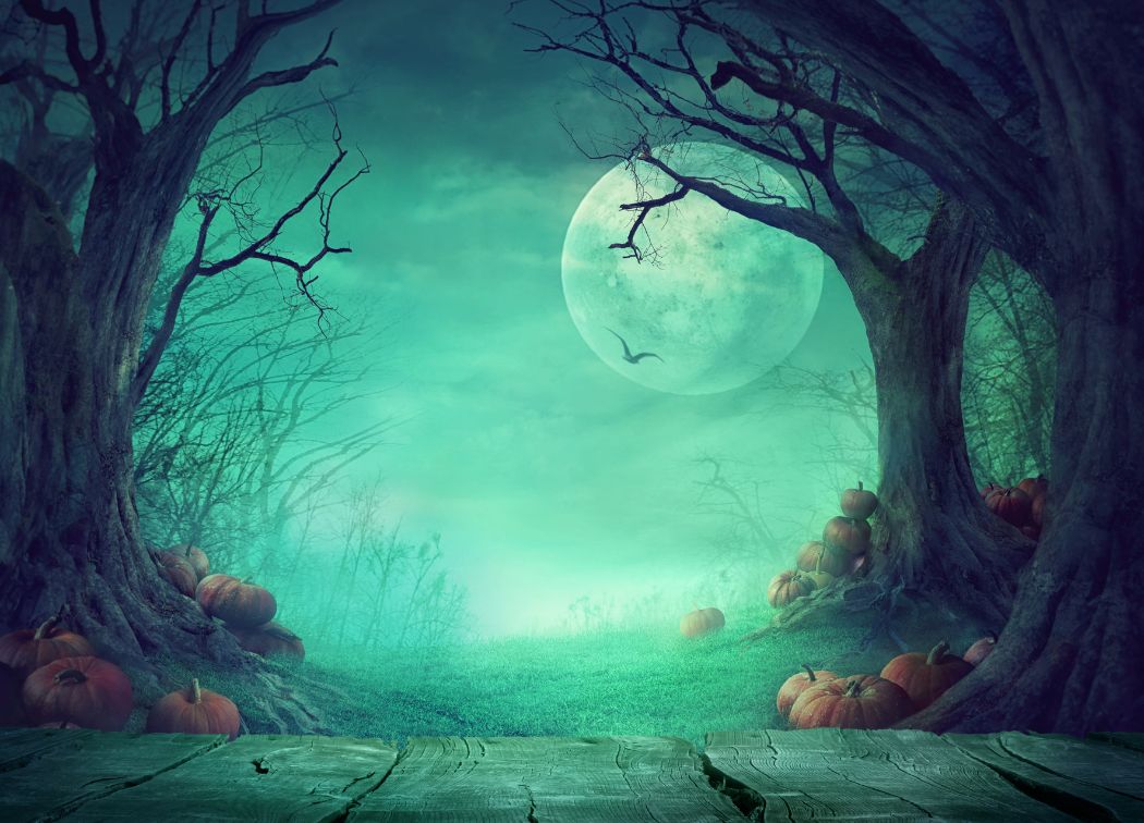 Exploring Traditions The History of Halloween