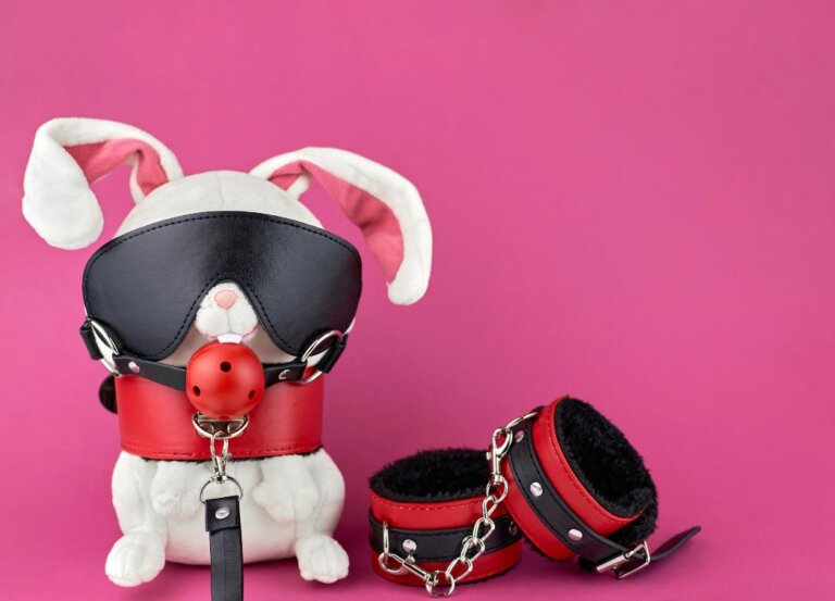 The Best BDSM Collars and Leashes for All Types of Kinky Play