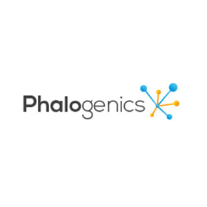 Phalogenics Enhancement System